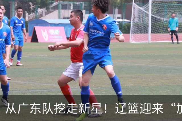 从广东队挖走新星！辽篮迎来“加强版杜润旺”，杜锋失去锋线人才